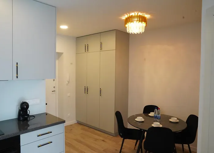 Apartamentai Self Chek-in Free Parking Appartement